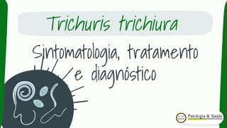 Parasitologia Tricuríase sintomas e tratamento [upl. by Ahsekyt160]