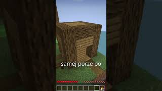 Dziwne rzeczy na kamerach minecraft peciemeciethealwayssummer historia memes redditstories [upl. by Idalla843]