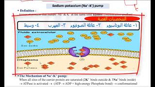 lecture 2 active transport [upl. by Olrak]