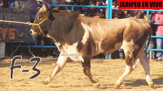 🔴 RANCHO EL GUAMUCHIL en Vivo 🔴 en Puebla 2024  Jaripeo Completo [upl. by Navanod]