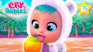 Le Fruit qui Change de Saveur 🍎 CRY BABIES Magic Tears 💧 Épisodes Complets  Dessins Animés [upl. by Cassey]