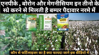 एनपीके बोरोन ओर मेगनीसियम का नरमे में स्प्रे करने के फायदे 13045 or megnisium or boron cotton [upl. by Eimot]