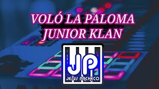 VOLÓ LA PALOMA JUNIOR KLAN COVER [upl. by Anaila]