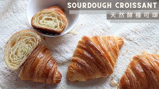 Sourdough Croissant  天然酵種可頌 [upl. by Freda324]