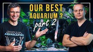 Our BEST AQUARIUM BUILD EVER  240 Liter Diorama and Paludarium  Part 2  Planting [upl. by Inafit]