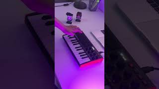 Mr Kitty  Destroy me Cover  AKAI MPK MINI COVER [upl. by Finer]