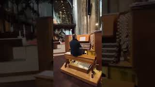 York minster organ [upl. by Acirre]