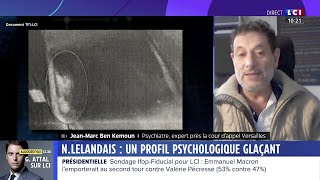 N Lelandais  un profil psychologique glaçant [upl. by Eirrehs]