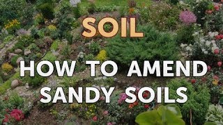 How to Amend Sandy Soils [upl. by Venterea986]