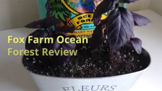 My Fox Farm Ocean Forest Soil Review [upl. by Daryle397]