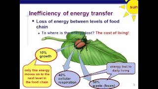 Ecology  Ecosystem Dynamics [upl. by Diarmid171]