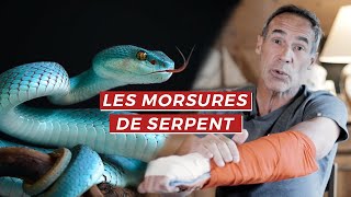 LES MORSURES DE SERPENT  MES BLESSURES 1 [upl. by Dorweiler]