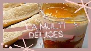 multi délices des recettes pour une yaourtière multi usages [upl. by Mcdade]