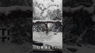 ジムニー 雪道走行 shorts [upl. by Nyleak]