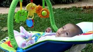 Fisher PriceToys  Soothe N Play Bouncer Toy Review [upl. by Aleibarg]