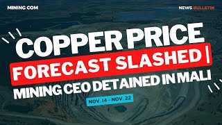 Copper price forecast cut Mali detains mining CEO [upl. by Damicke264]