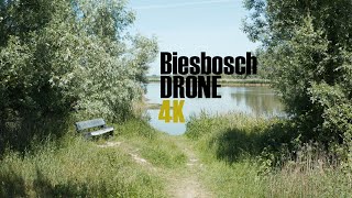 Biesbosch Werkendam 4k Drone Montage [upl. by Aira]