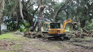 Removing Huge Live Oak Tree for New House BuildAshantilly RD SE [upl. by Modnarb]