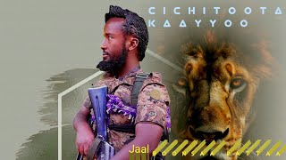 “Cichoota Kaayyoo” Jaal Boonsaa Rattaa New AOromo music 2024 Official Video [upl. by Lerual]