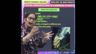 18 WIND POLLINATION neet biologyclass12 biology reproduction upsc education science [upl. by Ahsad]