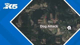 Elderly woman killed after being attacked by her own dogs in Chehalis [upl. by Ulda]