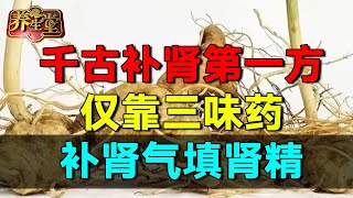 千古补肾第一方仅靠三味药补肾气填肾精气色回到20岁 养生堂 健康 养生 中医 【养生堂】 [upl. by Hurty]