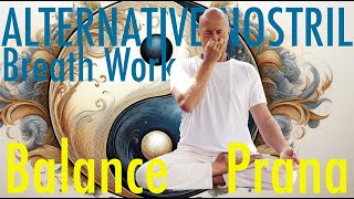 Anuloma Viloma Alternative Nostril Yoga Pranayama Breath Work Balance Prana amp guided meditation [upl. by Kiryt493]