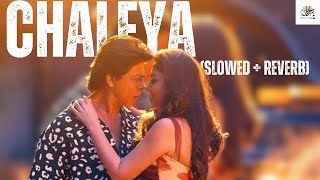 Chaleya slowed  reverb  Shah Rukh Khan  Nayanthara   Arijit S Shilpa R  Lofi Magic Zone🎧 [upl. by Arihsat]