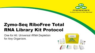 Protocol ZymoSeq RiboFree Total RNA Library Kit  Zymo Research [upl. by Htebiram101]