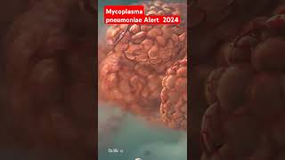 Mycoplasma pneumoniae alert science medicalanimation lunginfection doctor anatomy biology [upl. by Corby]