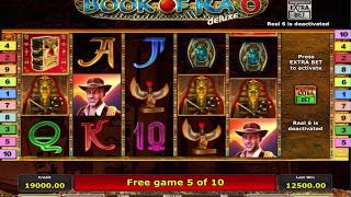 Free Spin And Big Win On Book Of Ra Slot Machine [upl. by Meean]