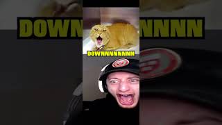 wubbzy screaming cat shorts memes not mine [upl. by Geithner589]