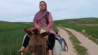 The life of a nomadic woman in Iran Shepherding and gathering grass Iranian family 🏕🌳🏕👩🏻‍🦰 [upl. by Anh]