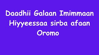 Daadhii Galaan Imimmaan Hiyyeessaa best Afaan Oromo Music forever [upl. by Reuben]