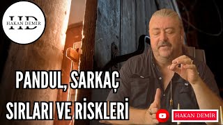 PANDUL  SARKAÇ SIRLARI ve RİSKLERİ [upl. by Atekram]