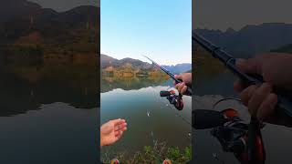 Go Fishing MT Fishing fishing fishingvideo mtfishing [upl. by Ahtiek]