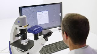 How to Automatically Measure Cell Confluency with ZEISS Labscope AI [upl. by Lesde]