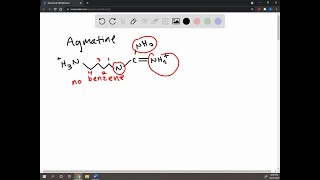 From which amino acid is the compound agmatine derived [upl. by Ennailuj]