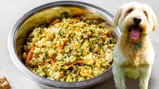 HOMEMADE DOG FOOD  healthy dog food recipe [upl. by Cirred136]