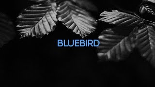 BLUEBIRD  Charles Bukowski [upl. by Wanids]