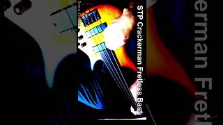 Crackerman Bass Cover Fretless – Stone Temple Pilots basicallybassguitar Crackerman STP bass [upl. by Tallou]