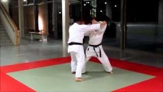 HeianPinan Yondan Drills [upl. by Annerol]