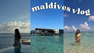 maldives travel vlog🇲🇻 I Westin Maldives I snorkelling 🤿 I relaxing days🌴 [upl. by Jak]