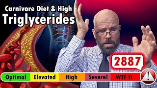 High Triglycerides on a Carnivore or Keto Diet hypertriglyceridemia dislipidemia carnivorediet [upl. by Neit]