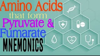 Amino Acids that form Pyruvate and Fumarate MNEMONICS  Lecture 5 [upl. by Gean]