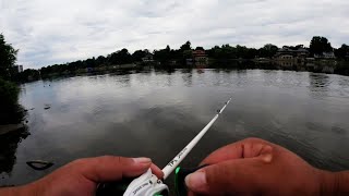 How To Catch River Bass [upl. by Annaik]