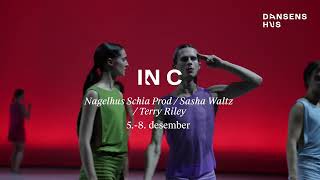 Nagelhus Schia Productions  Iin C Sasha Waltz  Terry Riley [upl. by Kean]