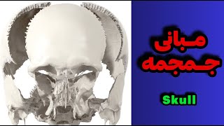 مبانی جمجمهskull [upl. by Harold473]