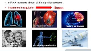 Insight to miRNA – From Discovery to Biomarker Application  BioVendor 05 [upl. by Oeflein95]