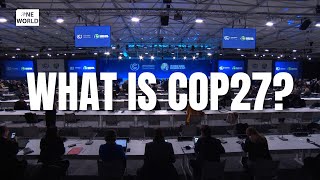 What is COP27 [upl. by Melamie979]